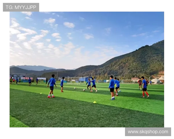 中超最新动态：多支劲旅调整阵容备战新赛季引关注 - 副本